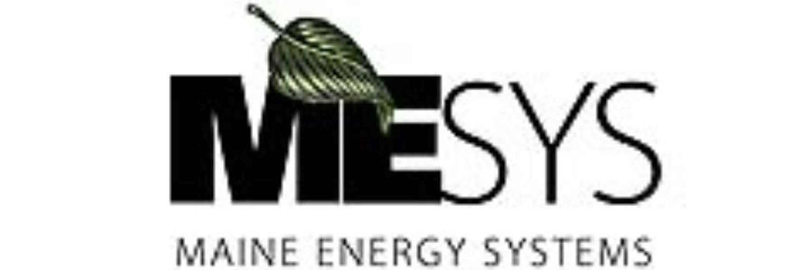 MAINE ENERGY SYSTEMS
