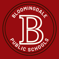 Bloomingdale Public Schools