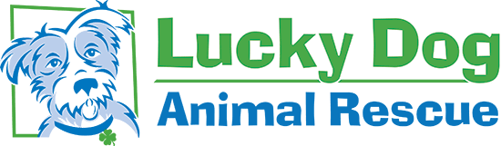 Luck Dog Animal Rescue