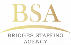 BRIDGES STAFFING AGENCY LLC