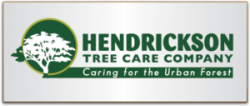 Hendrickson Tree Car Company