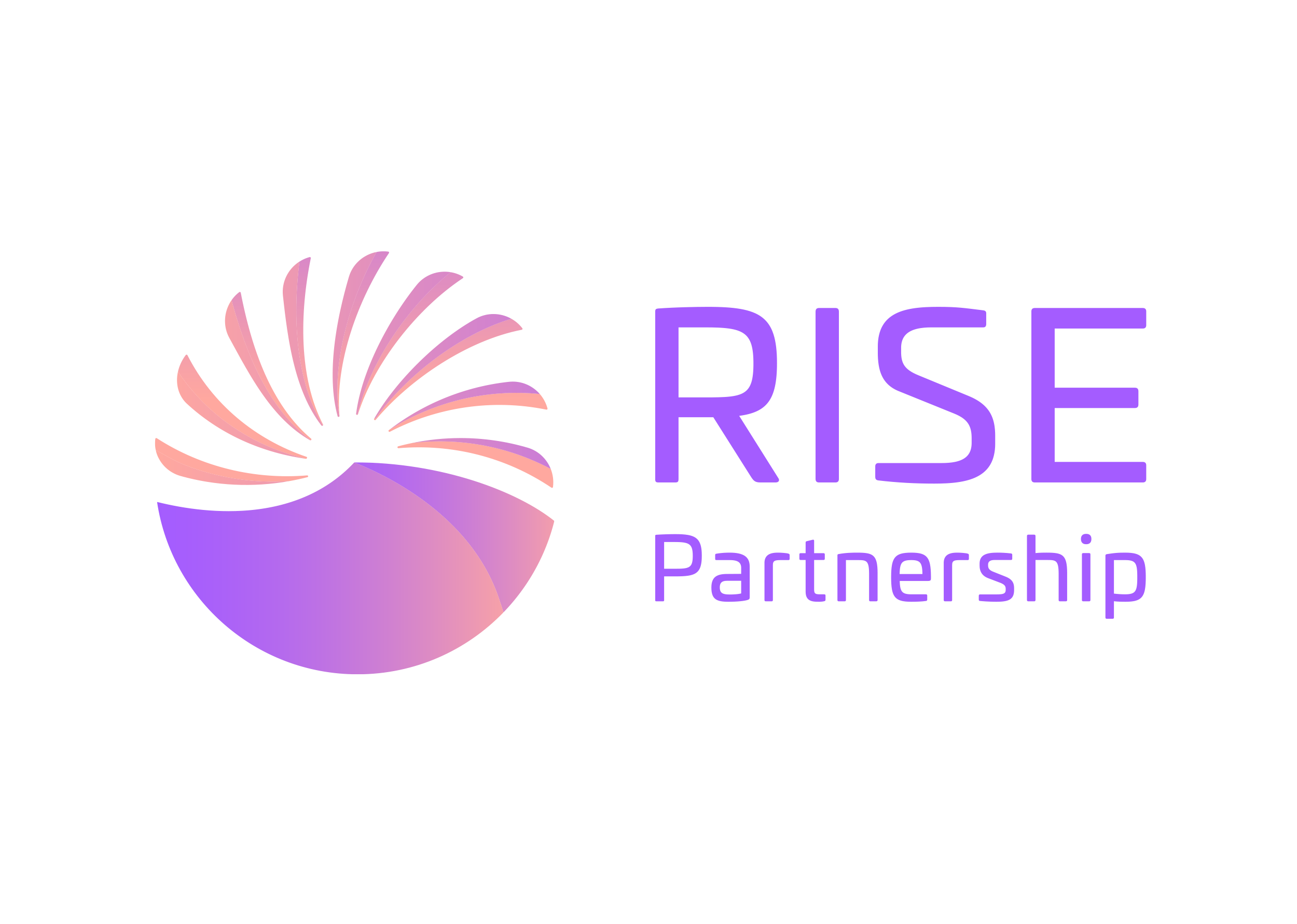RISE Partnership