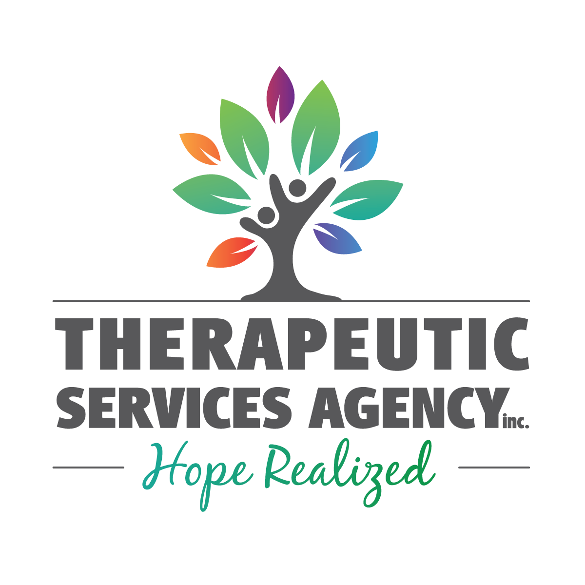 Therapeutic Services Agency Inc