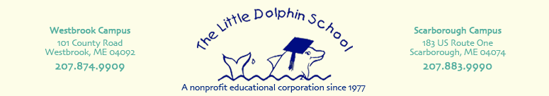 Little Dolphin School