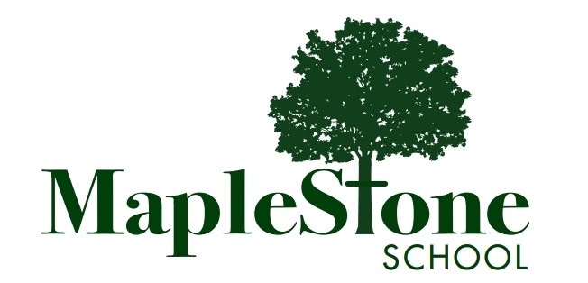 MapleStone School