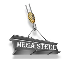 MEGA STEEL LLC