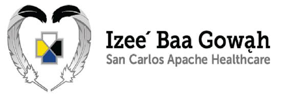San Carlos Apache Healthcare Corporation