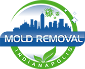 Mold Removal Indianapolis.